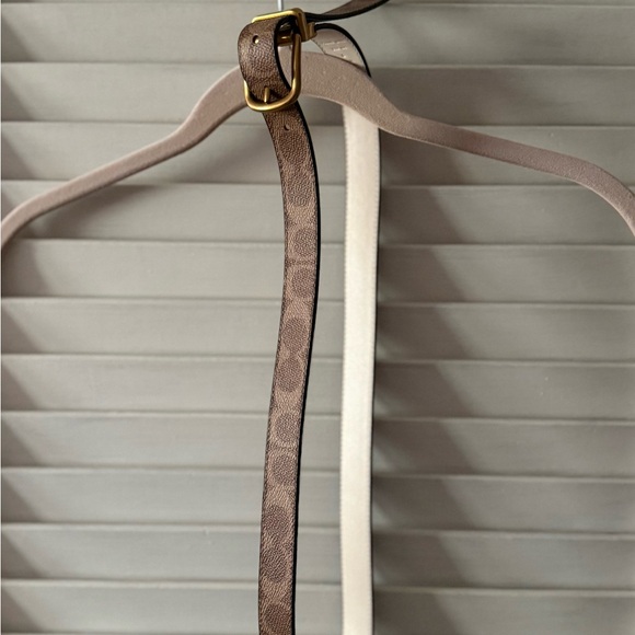 Brown Patterned Belt with Gold Buckle - Picture 1 of 1